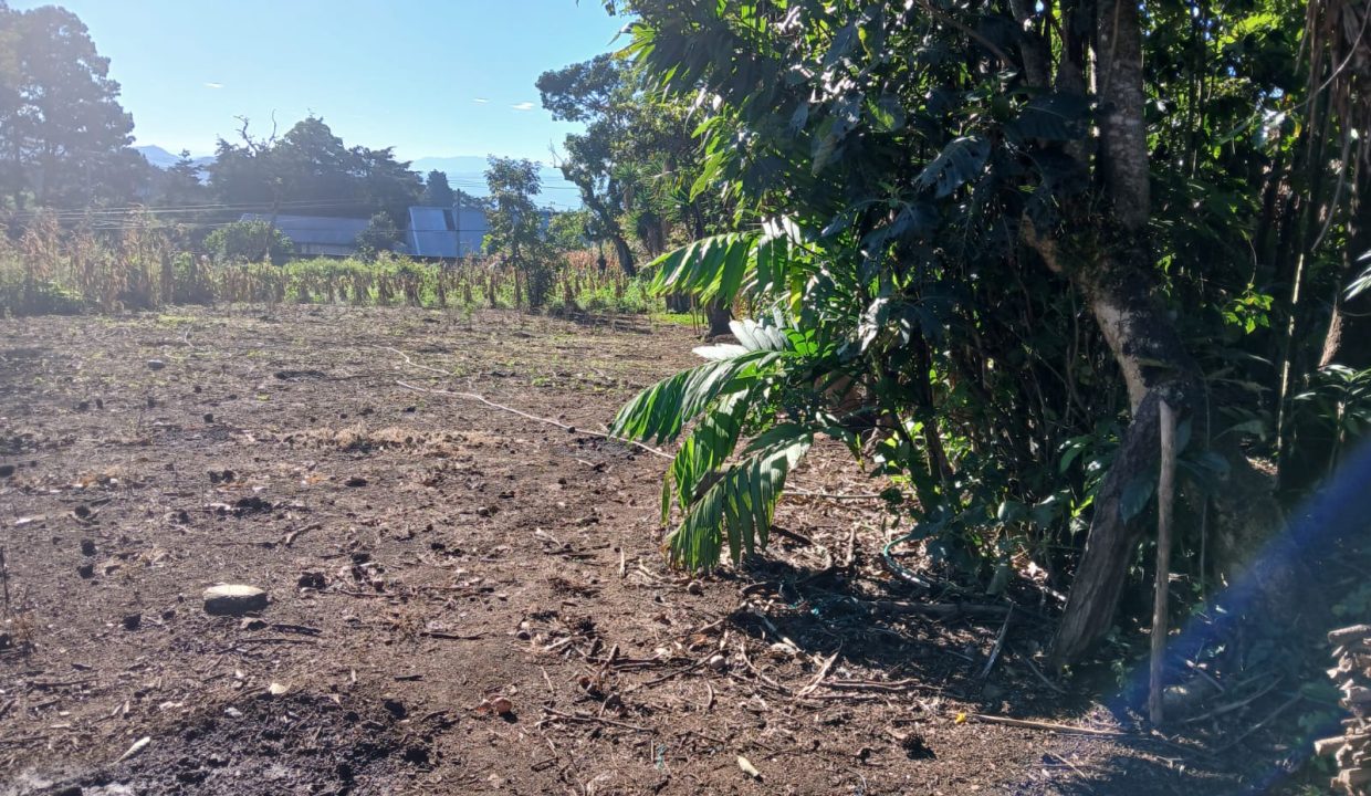 WhatsApp Image 2024-11-27 at 9.40.37 AM