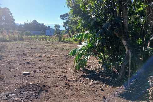 WhatsApp Image 2024-11-27 at 9.40.37 AM