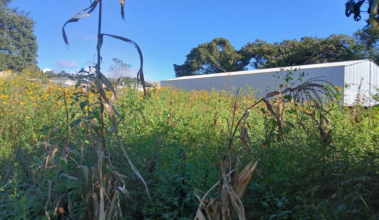 WhatsApp Image 2024-11-27 at 9.42.27 AM