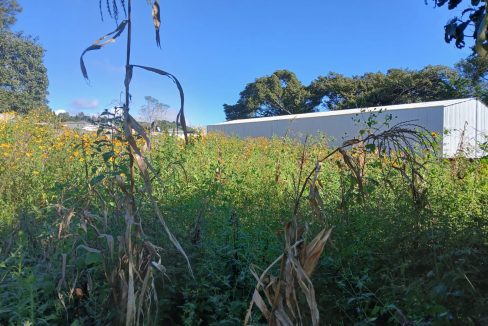 WhatsApp Image 2024-11-27 at 9.42.27 AM