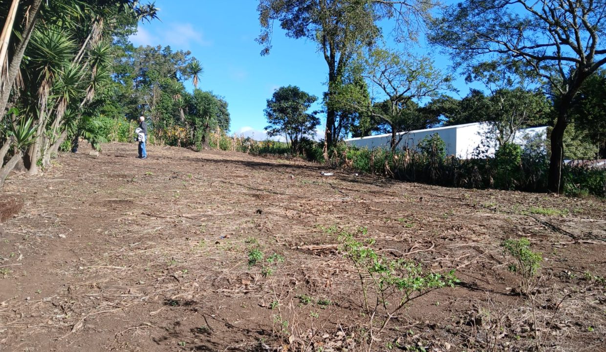 WhatsApp Image 2024-11-27 at 9.42.52 AM (1)