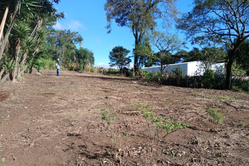 WhatsApp Image 2024-11-27 at 9.42.52 AM (1)