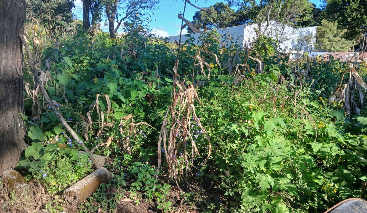 WhatsApp Image 2024-11-27 at 9.42.52 AM