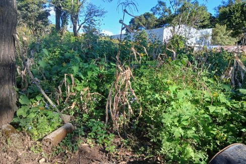 WhatsApp Image 2024-11-27 at 9.42.52 AM