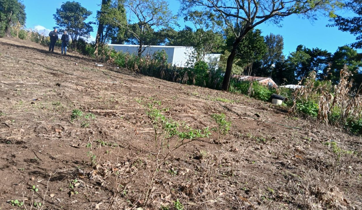 WhatsApp Image 2024-11-27 at 9.42.54 AM