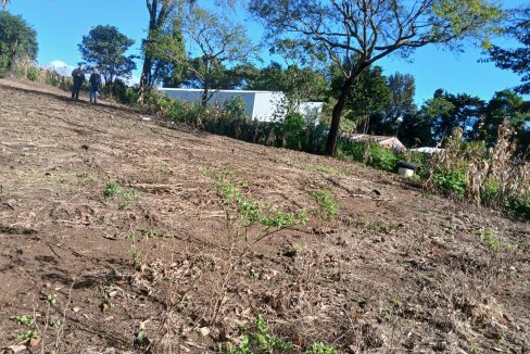 WhatsApp Image 2024-11-27 at 9.42.54 AM