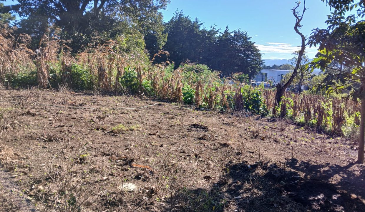 WhatsApp Image 2024-11-27 at 9.42.56 AM (1)