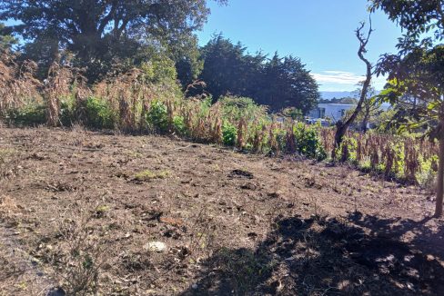 WhatsApp Image 2024-11-27 at 9.42.56 AM (1)