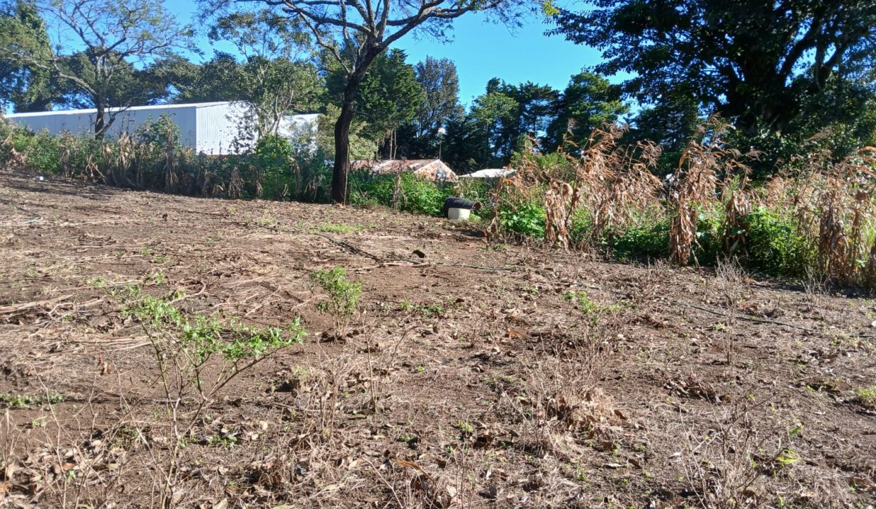 WhatsApp Image 2024-11-27 at 9.42.56 AM