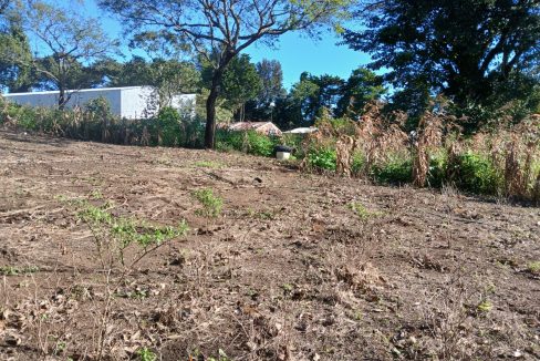 WhatsApp Image 2024-11-27 at 9.42.56 AM