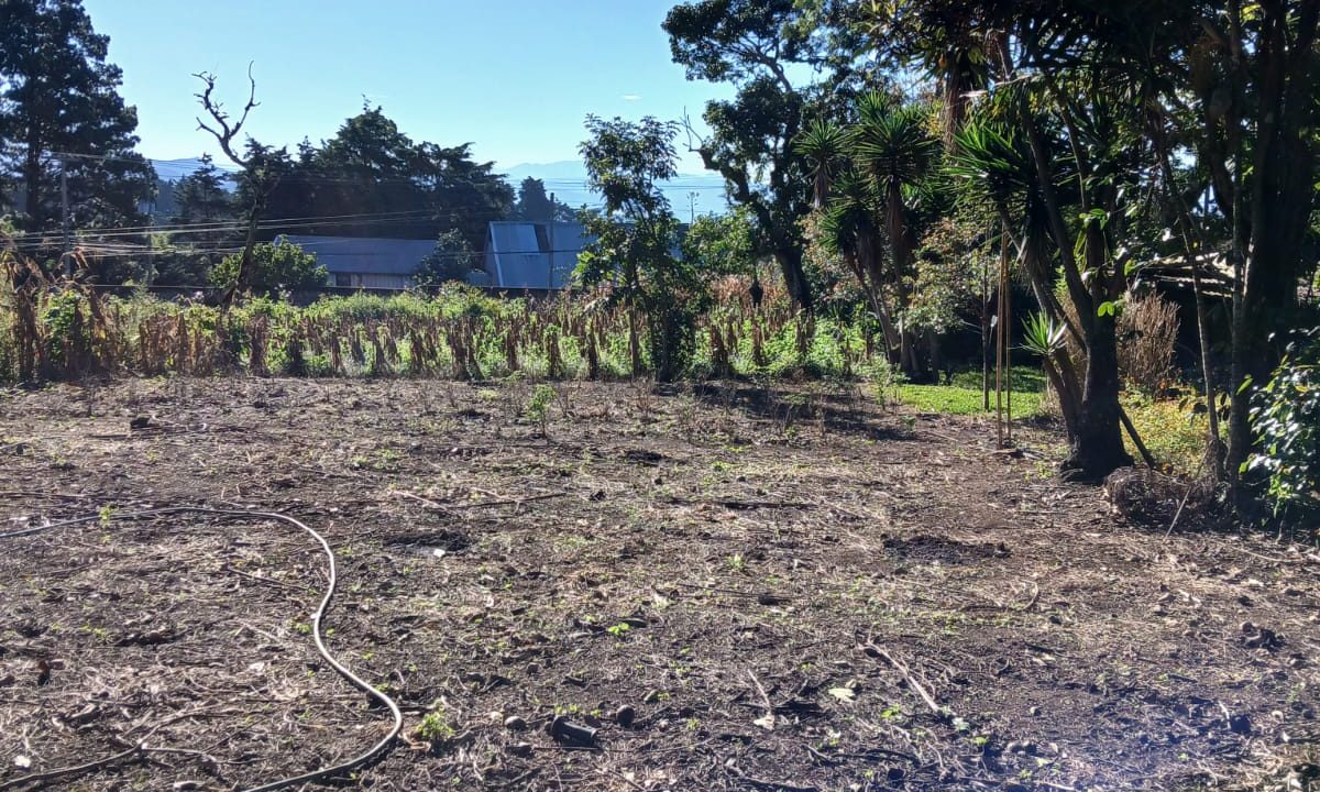 WhatsApp Image 2024-11-27 at 9.42.57 AM