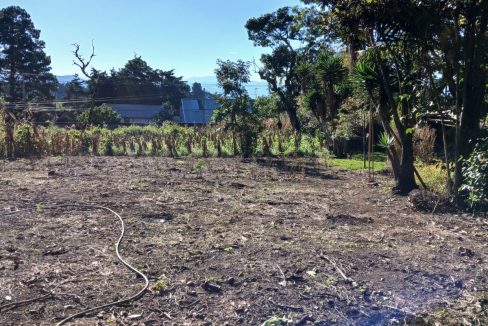 WhatsApp Image 2024-11-27 at 9.42.57 AM