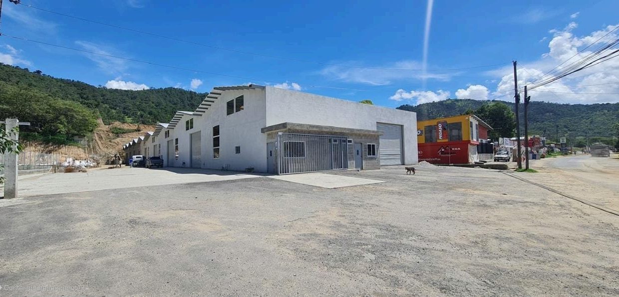 WhatsApp Image 2025-08-18 at 11.27.04 AM