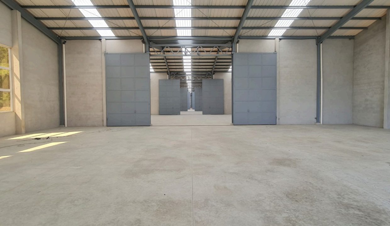 WhatsApp Image 2025-08-18 at 11.27.26 AM