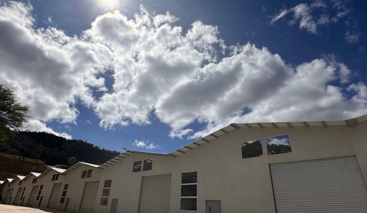 WhatsApp Image 2025-08-18 at 11.27.40 AM