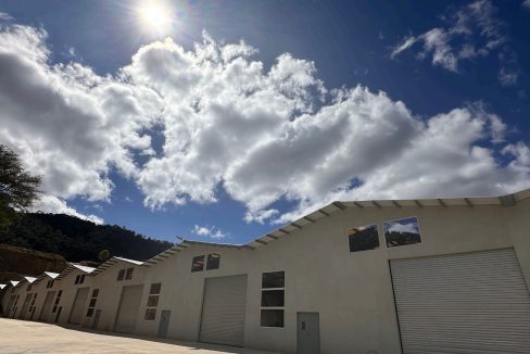 WhatsApp Image 2025-08-18 at 11.27.40 AM