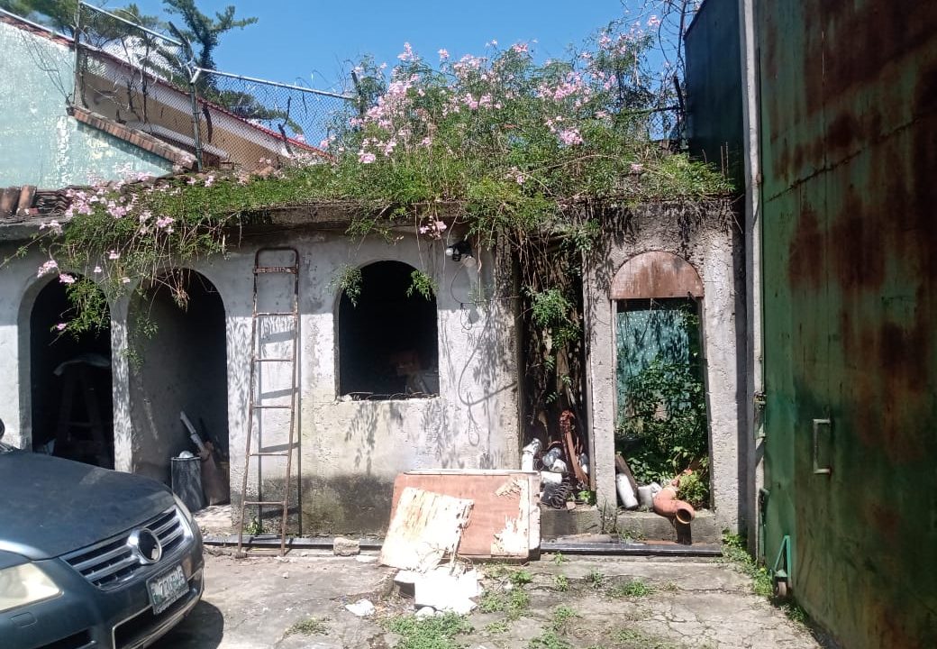 WhatsApp Image 2025-10-16 at 11.51.51 AM (1)