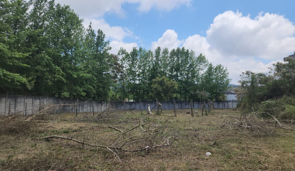 WhatsApp Image 2025-10-24 at 10.49.56 AM (2)