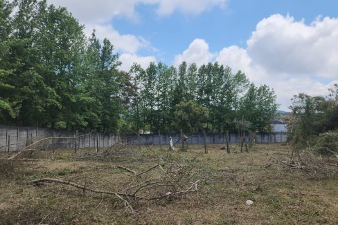 WhatsApp Image 2025-10-24 at 10.49.56 AM (2)