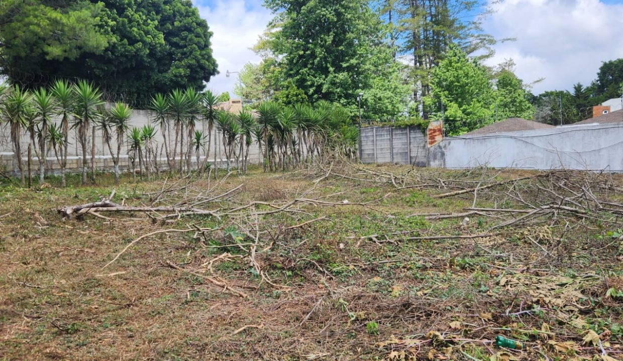 WhatsApp Image 2025-10-24 at 10.49.56 AM (3)