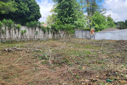 WhatsApp Image 2025-10-24 at 10.49.56 AM (3)