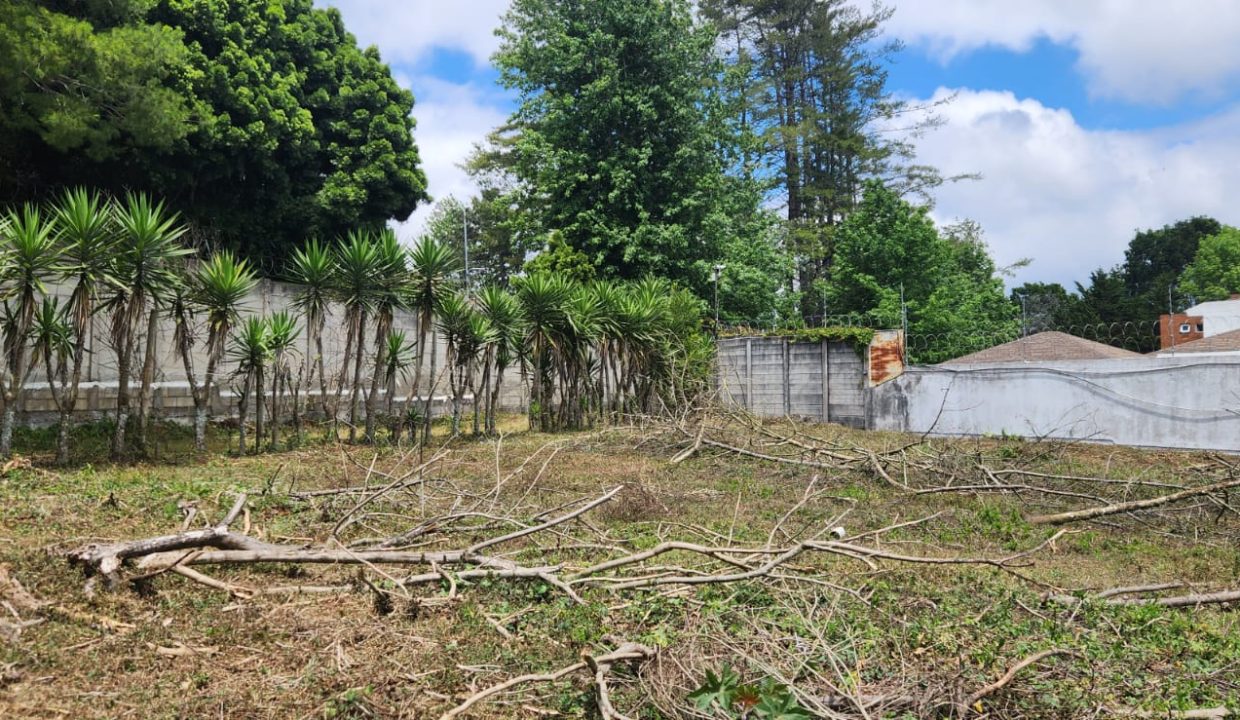 WhatsApp Image 2025-10-24 at 10.49.57 AM