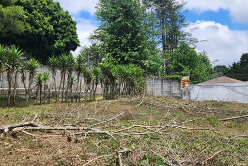 WhatsApp Image 2025-10-24 at 10.49.57 AM