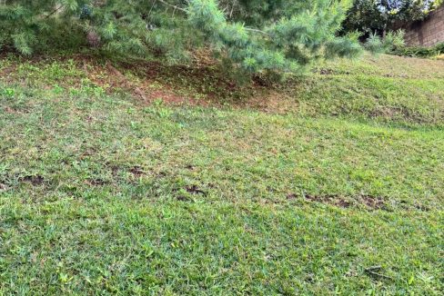 WhatsApp Image 2025-11-21 at 10.19.02 AM (1)