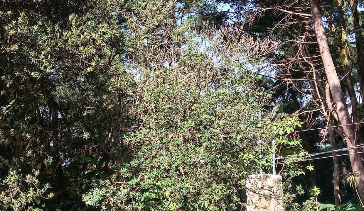 WhatsApp Image 2026-01-07 at 10.07.29 AM