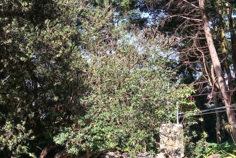 WhatsApp Image 2026-01-07 at 10.07.29 AM